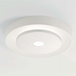 Biffi Luce RING 50W - №99