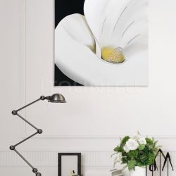 Pintdecor P2870 - Calla - №117