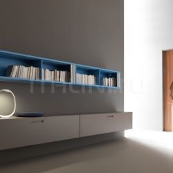 Martex Cabinets with Zaza doors - №151